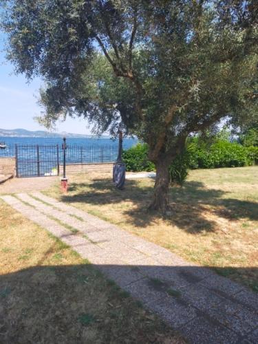 Independent Villa With Private Beach On The Lake Bracciano  Exterior foto
