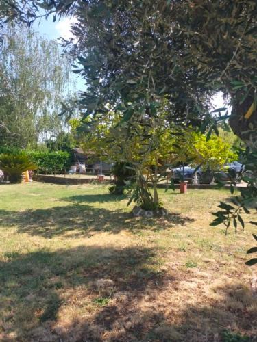 Independent Villa With Private Beach On The Lake Bracciano  Exterior foto